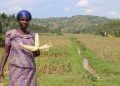 The SMART project launched in 5 districts