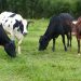 Nyagatare: Life is changing in Rwimiyaga and Karangazi…
