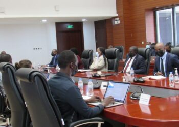 Rwanda: The State reinforces its support to the private sector