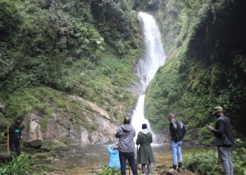 Nyungwe Park: $4.8 million collected