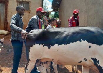 Gisagara: Collaboration between the RRC and decentralized authorities bears fruit