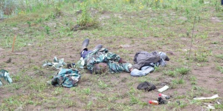 Rwanda : RDF repousse un groupe armé