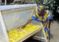 Covid-19 : les pertes de nourriture augmentent