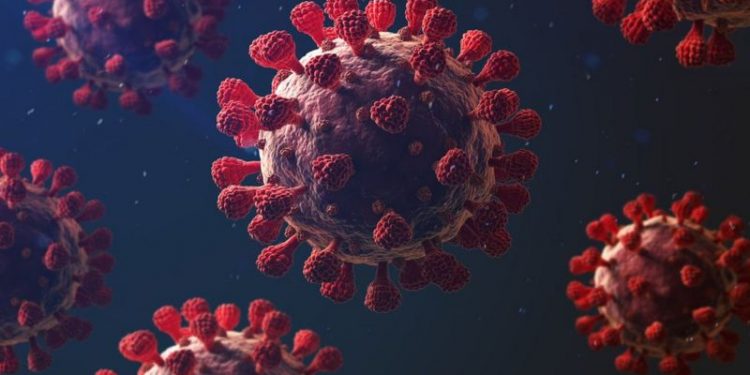 Grande Bretagne: Mutation du coronavirus