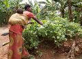CRR : le village modèle de Mukindo sur les rails