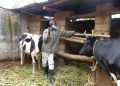 Croix Rouge Rwandaise : certains bénéficiaires deviennent des partenaires