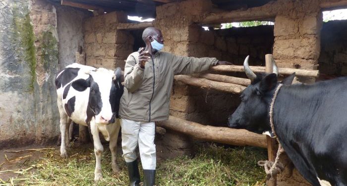 Croix Rouge Rwandaise : certains bénéficiaires deviennent des partenaires