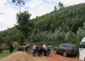Gicumbi : un trio bénéficiaire de la reforestation