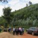 Gicumbi : un trio bénéficiaire de la reforestation