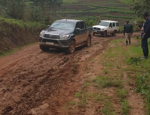Nyaruguru: réfection des pistes de desserte théicole