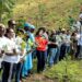 Kigali-Umuganda: L’Ambassade du Congo plante des arbres….