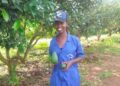 Agribusiness: ”Etre productrice d’avocats me rend fière” Ishimwe Bonnette