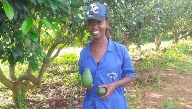 Agribusiness: ”Etre productrice d’avocats me rend fière” Ishimwe Bonnette