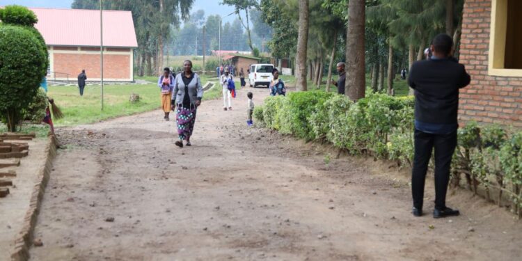 RDC: FDLR-FARDC combattent ensemble contre M23