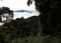Rwanda: Lancement du système d’information sur la biodiversité