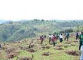 Rwanda : ”Erosion, un danger qui nous guette,” Dr Mujawamariya