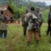 RDC: Prévenir un génocide, c’est agir