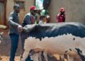 Gisagara : la collaboration CRR-Instances décentralisées porte ses fruits