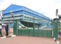 Nyaruguru: le thé, secteur clé de l’économie