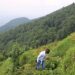 Rwanda: 63 millions d’arbres pour le marché du carbone