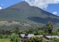 Parc de Virunga: Des espèces végétales envahissantes à éradiquer