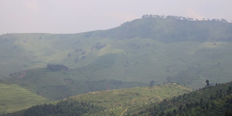 Rwanda- résilience climatique: fonds de 80 millions de dollars