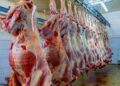 Rwanda-RICA : Campagne pour une viande de qualité