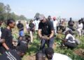 Kwibuka 30 : Un million d’arbres pour la mémoire…