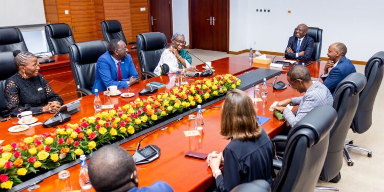 Rwanda : Eradication du paludisme discutée à la Primature