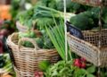 Rwanda-CEHA : Mise en marche du projet régional d’horticulture
