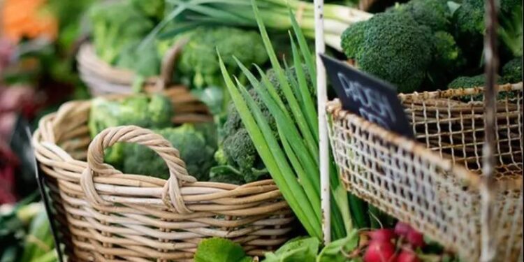 Rwanda-CEHA : Mise en marche du projet régional d’horticulture