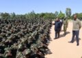 Mozambique-Cabo Delgado: Plus de 70 terroristes tués par RDF