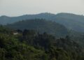 Rwanda-changement climatique: Résilience autour de la Crête