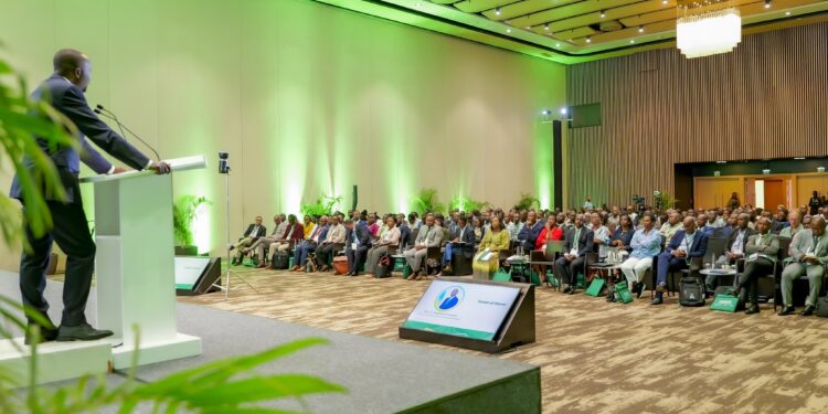 Rwanda : Vers une agriculture résiliente…