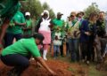 Rwanda : Reboisement à grande échelle