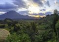 Rwanda-Marburg : ” Pas de restriction de voyage’’, RDB