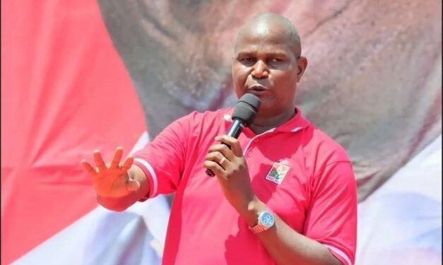 Mozambique : Validation du scrutin