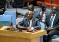 Rwanda: MONUSCO accusée de violer son mandat
