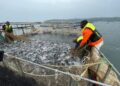 Nyamasheke-Aquaculture: Un investissement de 10 millions de dollars