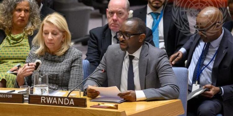 Rwanda-CSNU : les FDLR restent la principale menace