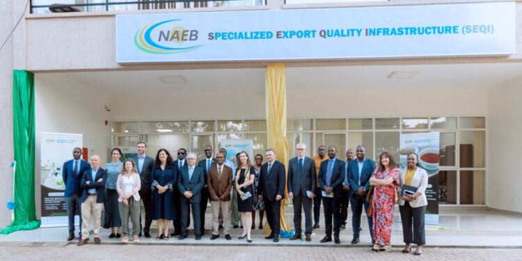 NAEB-SEQI : Vers l’excellence de la qualité des exportations