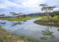 REMA-Kigali: Transformation de 491 hectares de zones humides