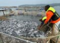 MINAGRI: Une production halieutique de 47.000 tonnes