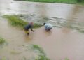 MINAGRI: prévention des pertes agricoles