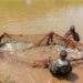 Rwanda-Pisciculture : Satisfaire le marché local, une priorité