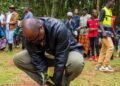 Rwanda-Karongi: Plus de 5000 plants repiqués