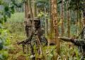 FDLR: Evolution d’une menace génocidaire