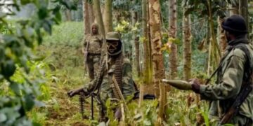 FDLR: Evolution d’une menace génocidaire