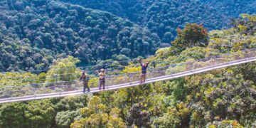 Parc de Nyungwe:  Budget de 1,2 milliard pour les communautés