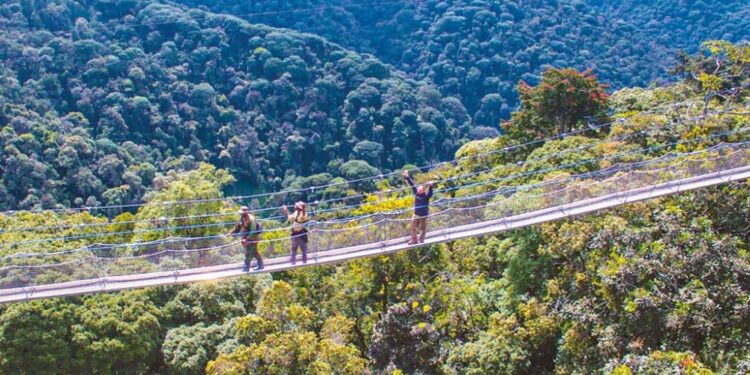 Parc de Nyungwe:  Budget de 1,2 milliard pour les communautés